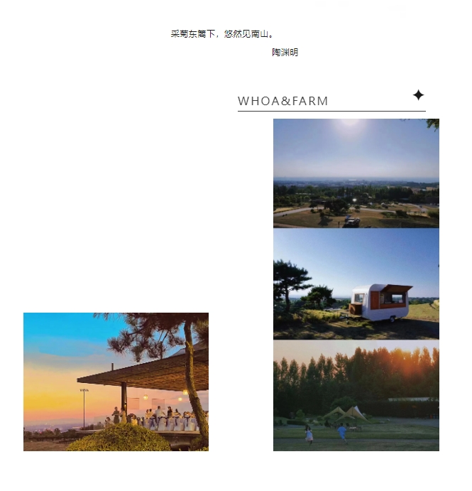 “这篇没别的，就是舒服”